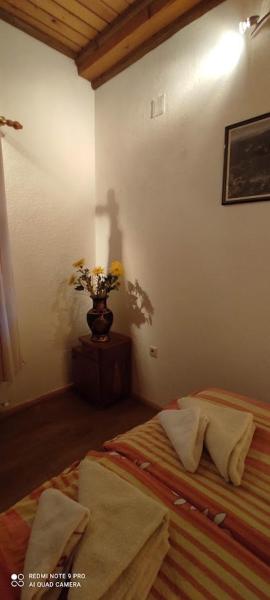 Apartman Šipak